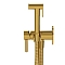 Гигиенический душ Whitecross Y gold SYSYBI2GL со смесителем, глянцевое золото - 2 изображение