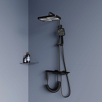 Душевая стойка RGW Shower Panels 51140135-04 11 черный1