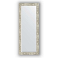 Зеркало в багетной раме Evoform Exclusive BY 1159 51 x 131 см, алюминий