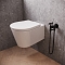 Гигиенический душ Paini Isola ISPZ442 черный матовый - изображение 3
