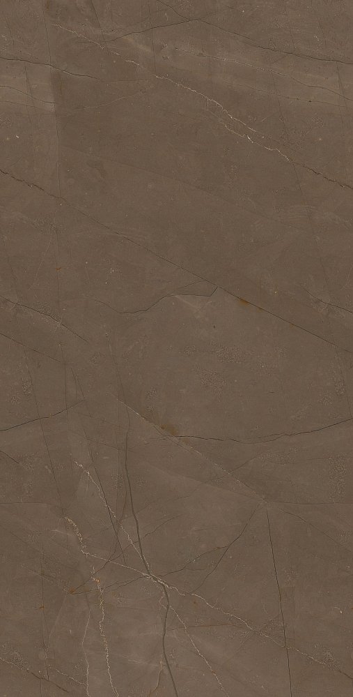 Керамическая плитка Creto Плитка Pulpis Brown W M 31x61 NR Glossy 1 