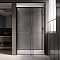 Душевая дверь Veconi Premium Trento PTD-40B, 120х200, черный матовый, стекло прозрачное - 2 изображение