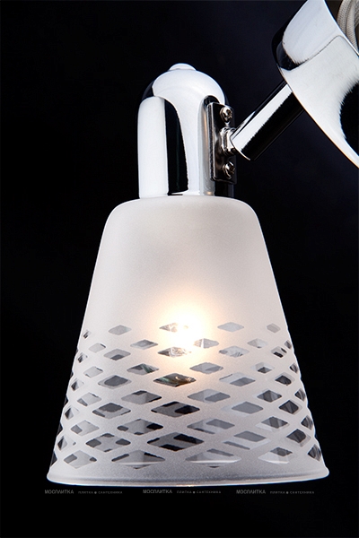 Настенный светильник с плафонами Eurosvet Organic 20053/1 4690389100130 - 2 изображение