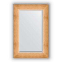Зеркало в багетной раме Evoform Exclusive BY 1141 56 x 86 см, травленое золото