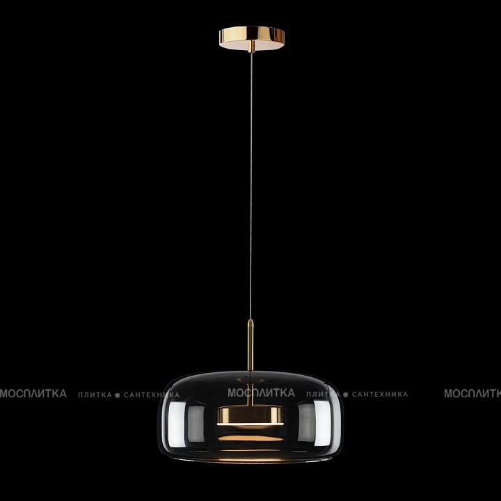 Подвесной светильник LOFT IT Dauphin 10041B - изображение 5