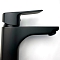 Смеситель для раковины с гигиеническим душем Paini Viva Style P4YO205/574 черный матовый - изображение 4