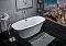 Акриловая ванна Aquanet Pleasure 170x78 см - 4 изображение