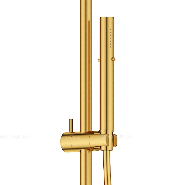 Душевая стойка Cezares Eco ECO-CVD-BORO 2 режима, брашированное золото - изображение 2