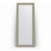 Зеркало в багетной раме Evoform Exclusive Floor BY 6120 81 x 201 см, хамелеон