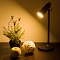 Настольная лампа Elektrostandard Joel TL70190 4690389016998 - изображение 3