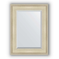 Зеркало в багетной раме Evoform Exclusive BY 1226 58 x 78 см, травленое серебро