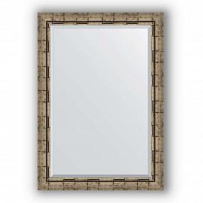 Зеркало в багетной раме Evoform Exclusive BY 1196 73 x 103 см, серебряный бамбук