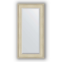 Зеркало в багетной раме Evoform Exclusive BY 1246 58 x 118 см, травленое серебро