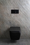 Унитаз подвесной безободковый Allen Brau Liberty 4.33007.31 черный матовый - изображение 30