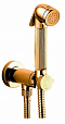 Гигиенический душ Bossini Nikita Mixer Set E37008.021, золото