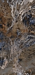Керамогранит Meissen  Interstellar 17548 многоцветный ректификат 60x120 - 4 изображение