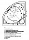 Акриловая ванна Aquatek Сириус 164 см на объемном каркасе - 6 изображение
