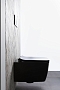 Унитаз подвесной безободковый Allen Brau Liberty 4.33007.31 черный матовый - изображение 22