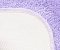 Коврик WasserKraft Wern BM-2524 Lilac напольный, цвет - сиреневый, 55 х 57 см - изображение 4