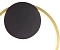 Бра Эрин латунь/черный d25 Led 16W (4000K), 08433,36-19 - изображение 2