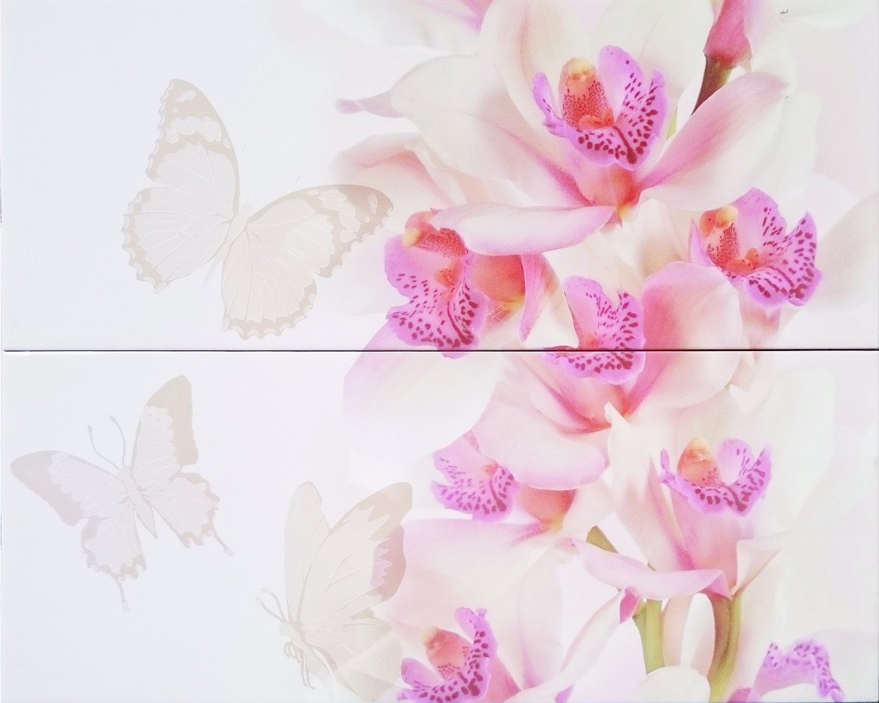 Панно Орхидея белая 40х50 