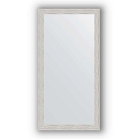 Зеркало в багетной раме Evoform Definite BY 3069 51 x 101 см, серебряный дождь